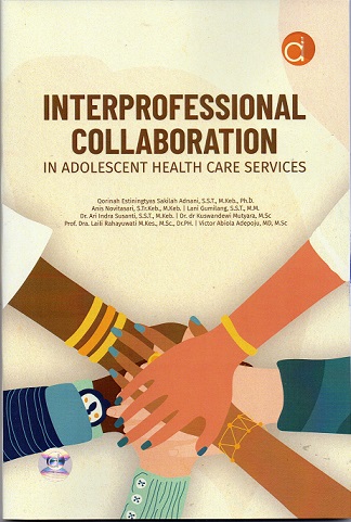 Interprofessional collaboration in adolescent health care services