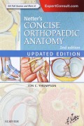 Netter's concise orthopaedic anatomy