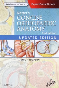 Netter's concise orthopaedic anatomy